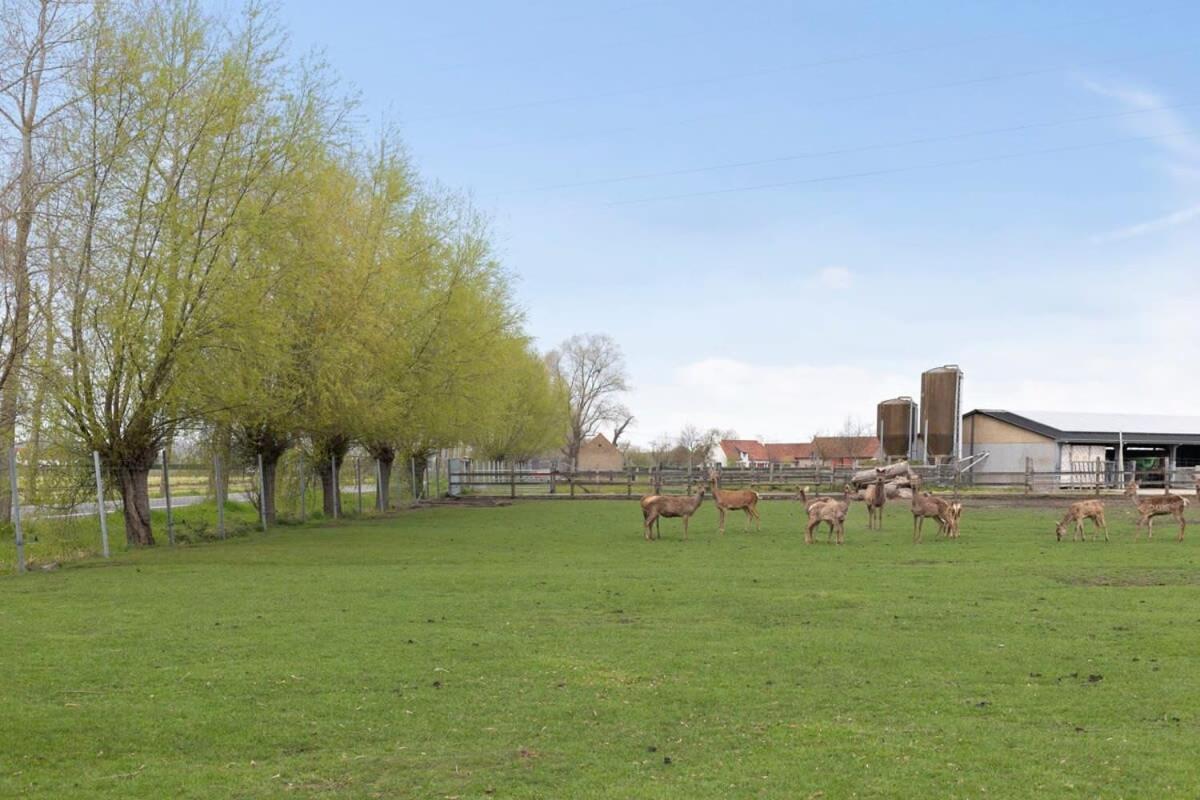 Huswell - Family House With A Beautiful View In Damme Villa Brugge Buitenkant foto